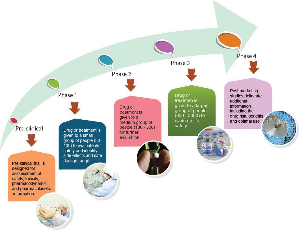 a clinical research study is conducted in how many phases