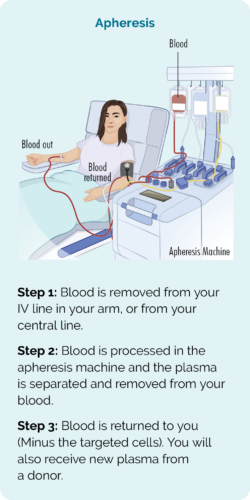 Stem cells are collected with apheresis