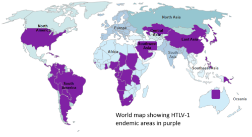 Taleucema Map Adult T-cell leukaemia-lymphoma (ATLL) - Lymphoma Australia