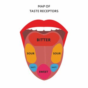 Immagine che mostra una lingua che delinea le aree della lingua che sperimentano diverse sensazioni gustative. La parte posteriore della lingua capta i sapori amari, i lati della lingua verso la parte posteriore captano i sapori aspri, i lati della lingua verso la parte anteriore captano il salato e la parte centrale anteriore della lingua capta i sapori dolci.