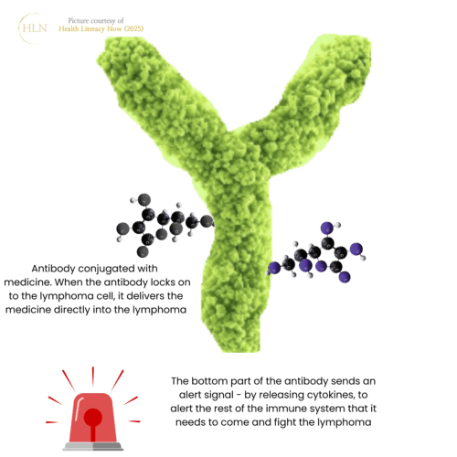 Image of a Y shaped antibody with oxins attached to it