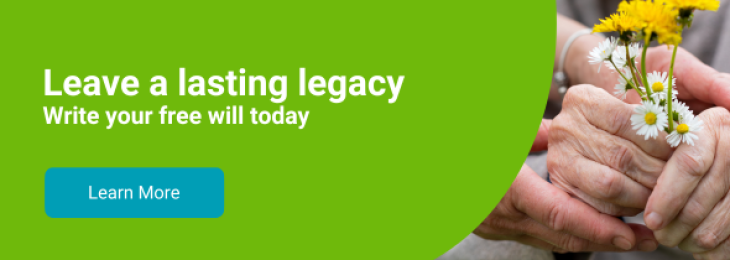 Image of hands holding Daisies with the works Leave a lasting legacy. Write your free will today.