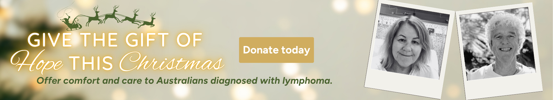 Thin WordPress Banner - 1900x350